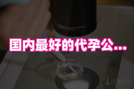 杭州助孕网站 2